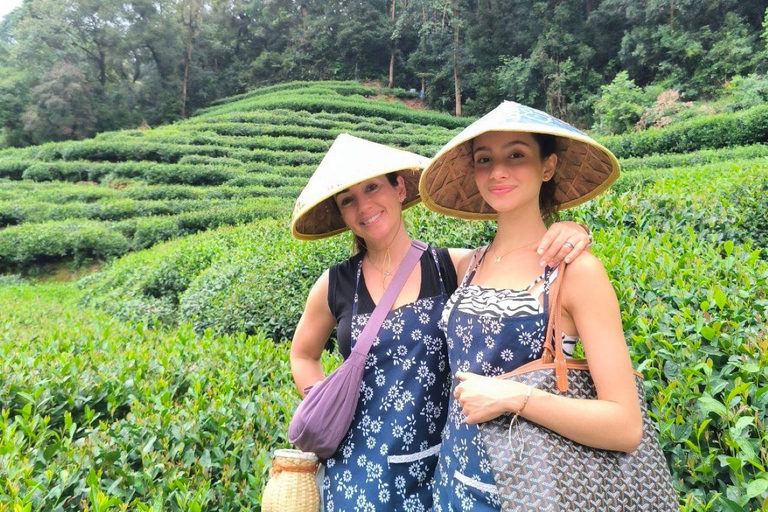 Hangzhou: Meijiawu Tea Picking, Roasting, Tasting Experience
