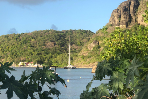 Guadeloupe:half Day on catamaran les Saintes, terre de haut