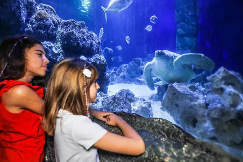 SEA LIFE Oberhausen billet d'entrée