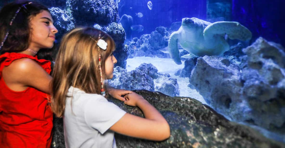 Afbeelding 0 van Oberhausen: SEA LIFE Oberhausen toegangsbewijs