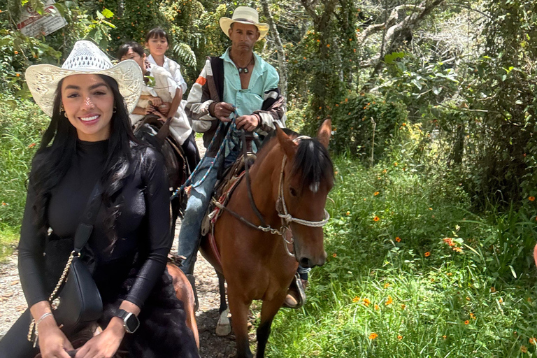 麦德林：山间骑行