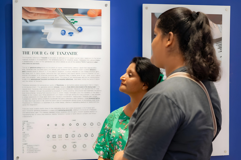 زنجبار: تذكرة دخول متحف التنزانيت ومتجر المجوهراتجولة مع نقطة الالتقاء في مبنى الحصن القديم