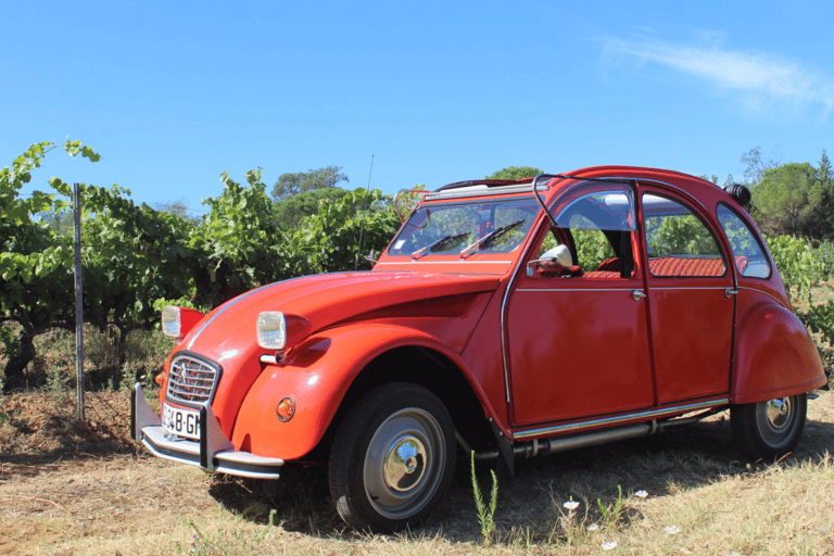 Saint-Tropez: Vintage Car Wine Tour Vintage wine tour in St-Tropez