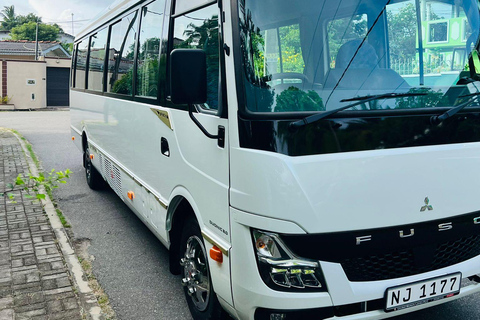 Galle: Private Colombo/Airport Transfer with Turtle Stop