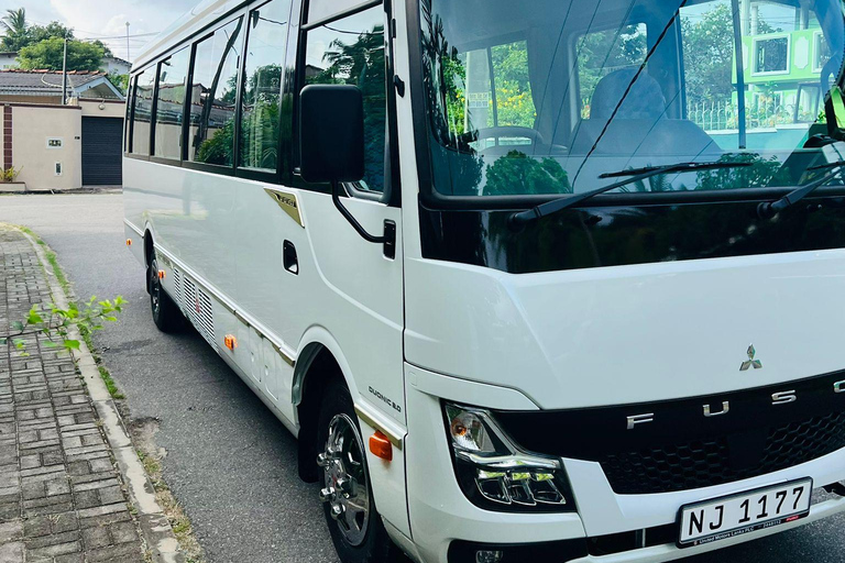 Galle: Private Colombo/Airport Transfer with Turtle Stop