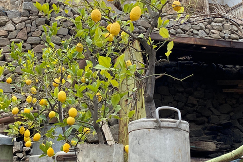 Yerevan: 3-Day Private Tour to Meghri & Tatev Monastery