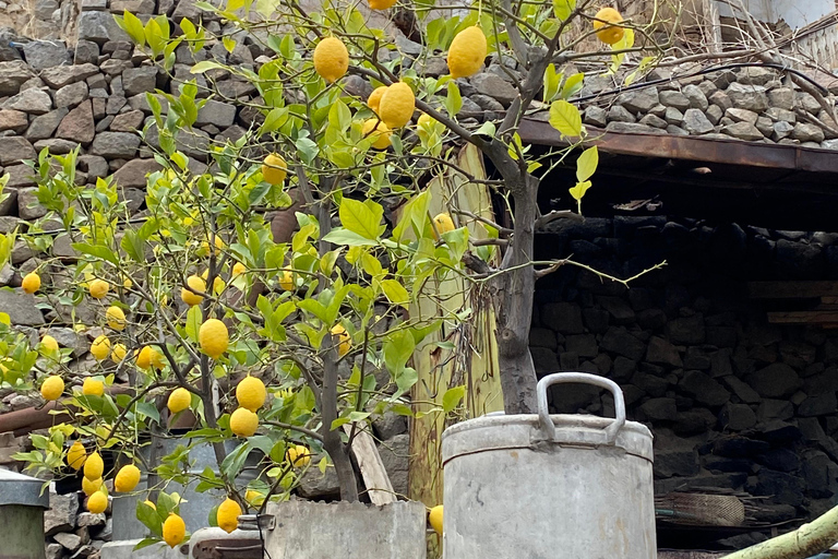 Yerevan: 3-Day Private Tour to Meghri & Tatev Monastery