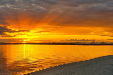 Excursion d&#039;une journée sur l&#039;île de Bribie depuis Brisbane