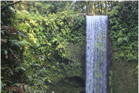 Ubud: Private Waterfall Tour, Coffee Plantation & ATV Ride