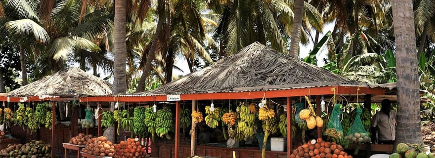 Visite citadine culturelle et patrimoniale avec un guide de la région
