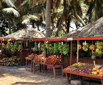 Tour della città di Salalah