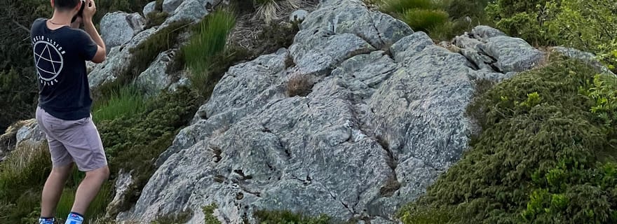 Bergen Magical Nature Tour | ViFlowExperience