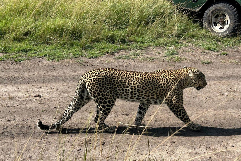3 Days Tsavo East National Park safari from Nairobi 3 Days Tsavo East National Park