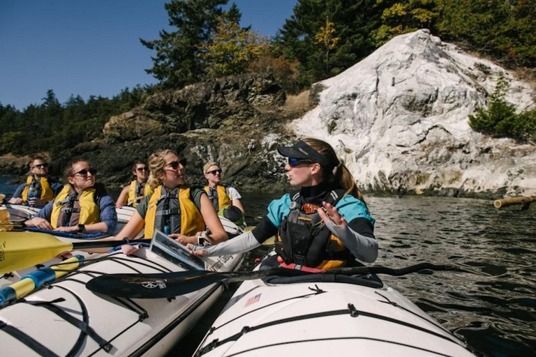 San Juan Island: West Side Half Day Kayak Tour Half Day
