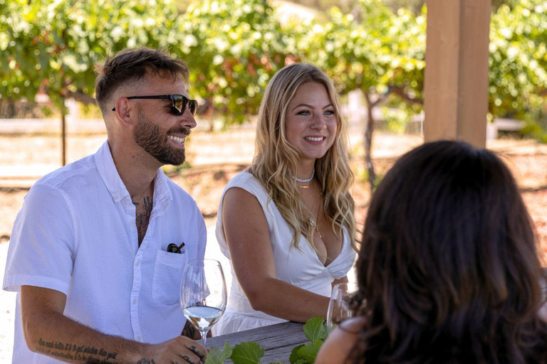 Santa Ynez : visite de 3 vignobles avec dégustations et déjeuner