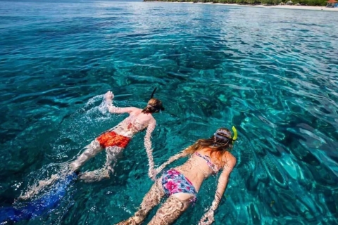 Bali: Dolfijn kijken, snorkelen & Hot Spring TourDolfijn & Warmwaterbron kijken
