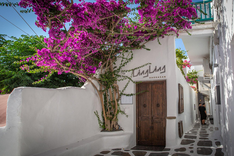 Mykonos: Best of Mykonos Private Tour