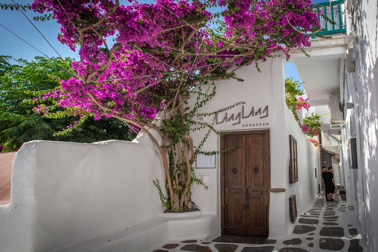 Mykonos: Best of Mykonos Private Tour