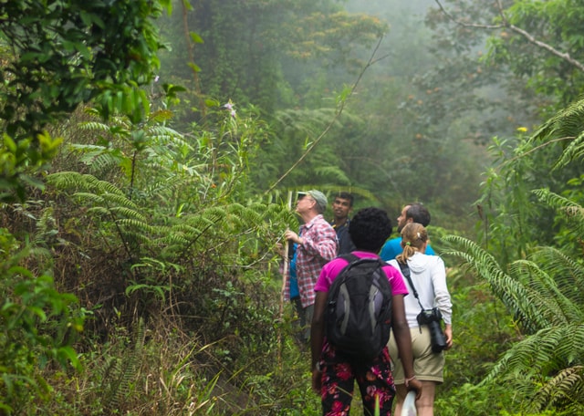Sri Lanka Nature, culture, history and wildlife in 4 days
