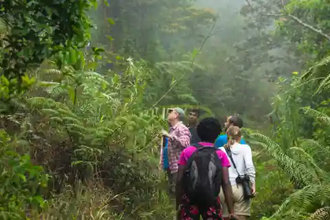 Sri Lanka Nature, culture, history and wildlife in 4 days