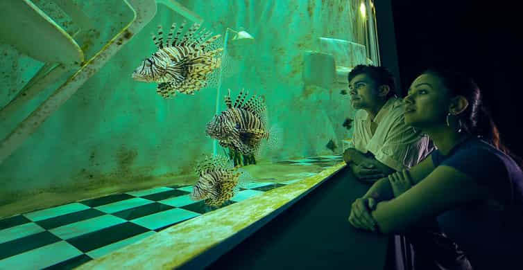 Singapore: Singapore Oceanarium Entrance E-Ticket photo 2