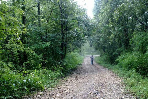 A day hiking from Kathmandu: Phulchowki Hill