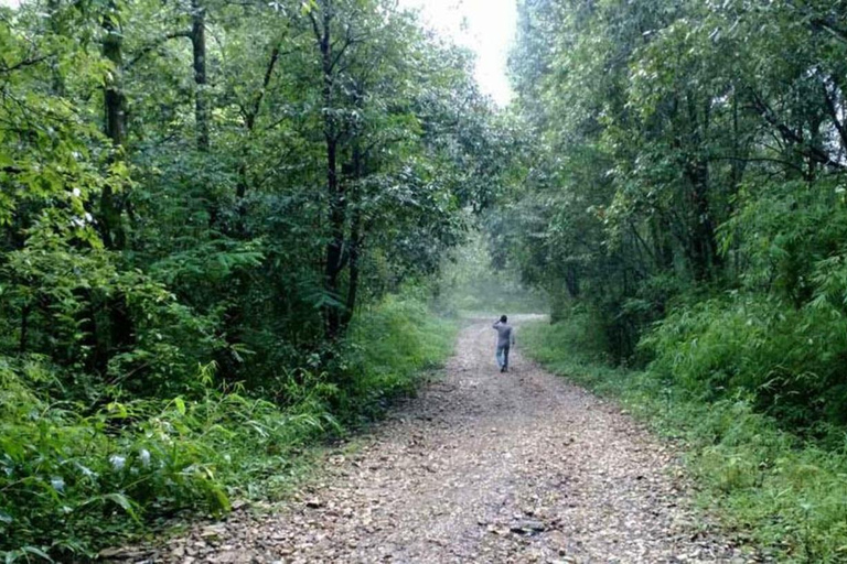 A day hiking from Kathmandu: Phulchowki Hill