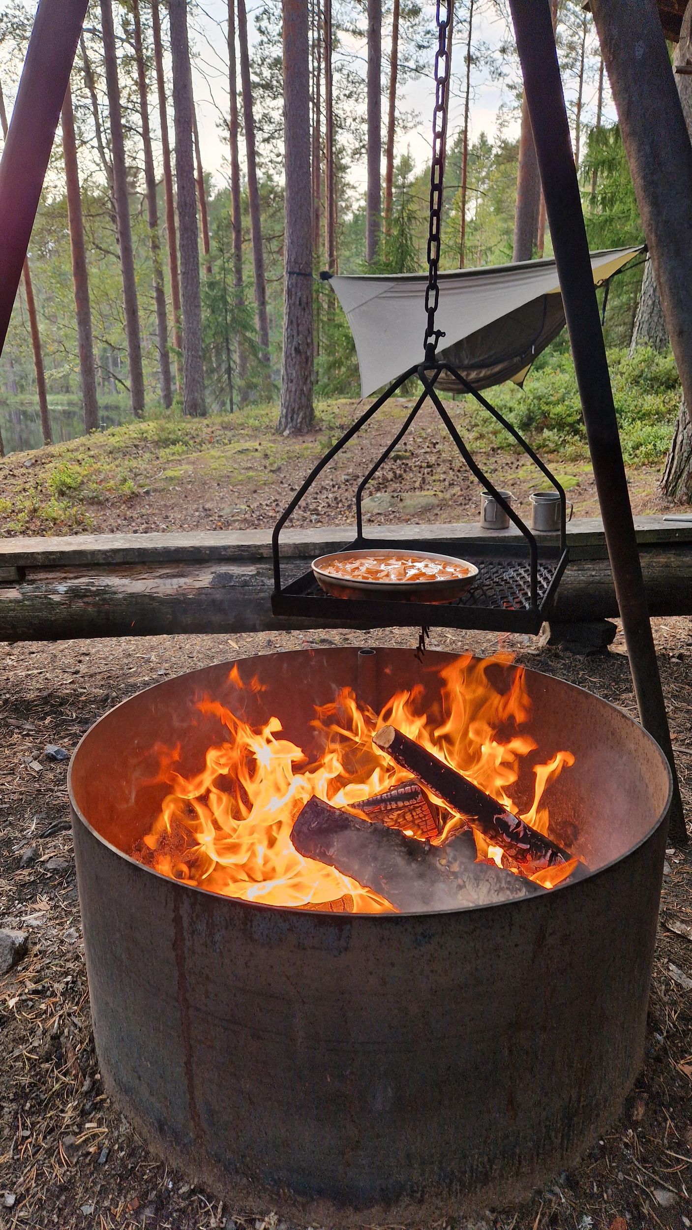 Der Hängematten-Pfad: 6-tägiges geführtes Hängematten-Camping in Schweden