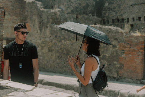 From Naples Pompeii & Mount Vesuvius Smart Tour with Tickets