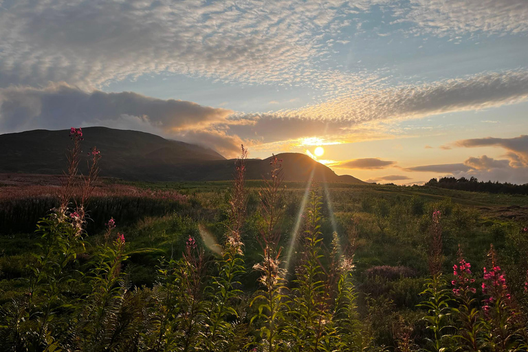 From Pitlochry: Schiehallion Guided Mountain Hike