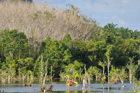 Krabi: Passeio de caiaque em South Kayak Klong RootMeio dia de caiaque em Klong Root e natação