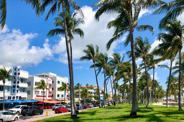 Miami Beach: Guided Tour with Expert Local Guide