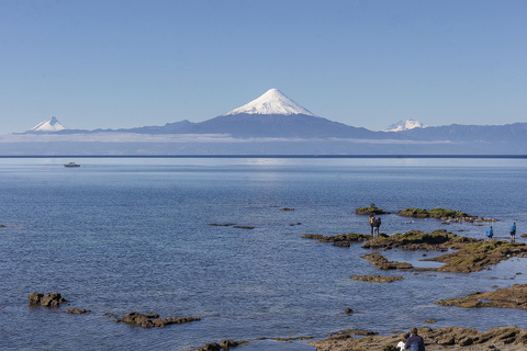 Puerto Varas: Shared Sightseeing Tour - Petrohue, Todos Los Santos Lake, and Frutillar Puerto Varas: Shared Sightseeing Tour - Petrohué, Todos Los Santos Lake, and Frutillar