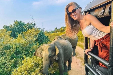 Minneriya Safari from Sigiriya Eco Jeep Adventure