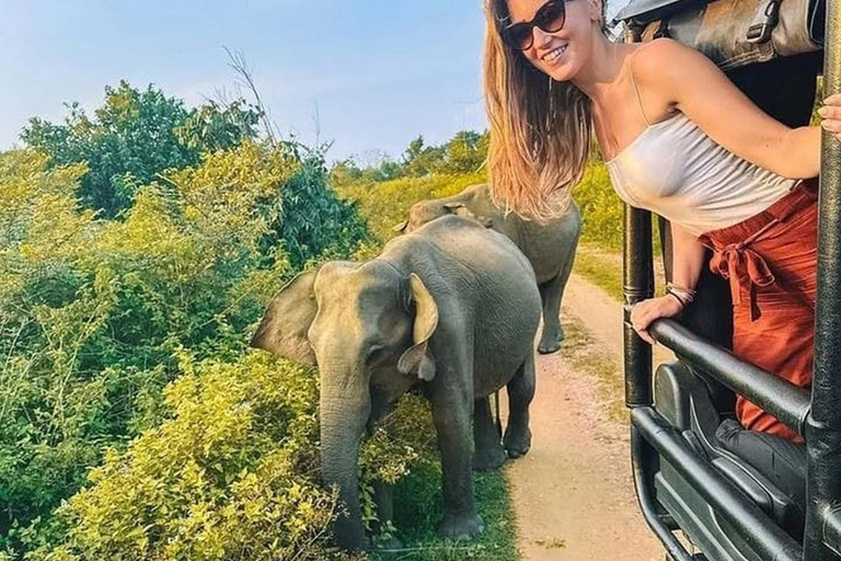 Minneriya Safari from Sigiriya Eco Jeep Adventure