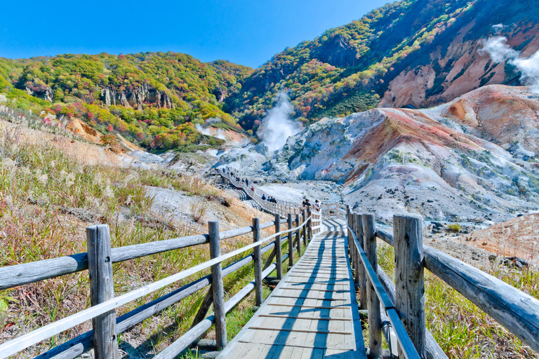 Tour di Noboribetsu e del Lago Toya: Una giornata di relax