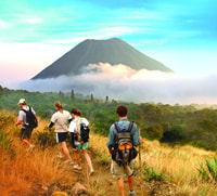 Ilamatepec（Santa Ana Volcano）、終日ハイキングツアー - Hizvo