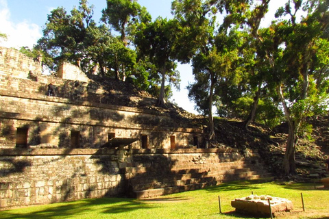 Jednodniowa wycieczka do stanowiska archeologicznego Copán z San SalvadorOpcja standardowa