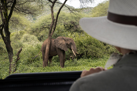 2-Days Budget Safari Tarangire &amp; Ngorongoro from Zanzibar