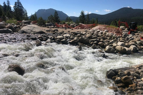 Denver: Estes Park and Rocky Mountain National Park Day Trip