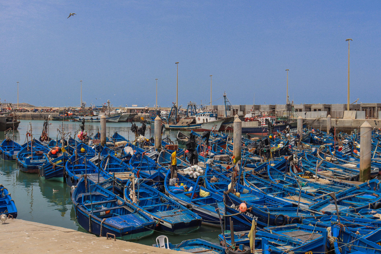 Agadir: Day Trip to Essaouira with Medina & Beach Time