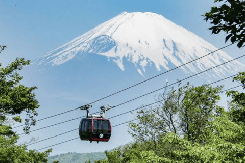 Mount Fuji Full Day Private Customizable Tour with Guide