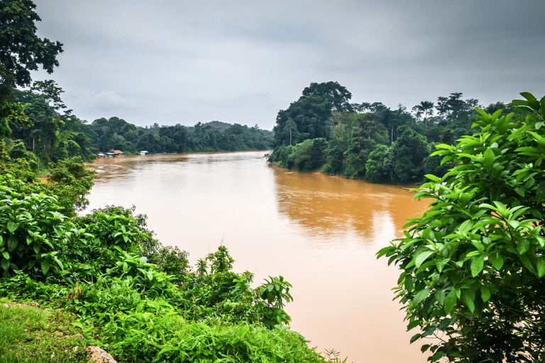 From Kuala Lumpur: Taman Negara National Park Private Tour