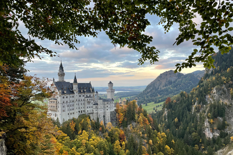 Private tour: Neuschwanstein castle and Alps from Innsbruck Private tour: Neuschwanstein castle and Alps from Innsbruck