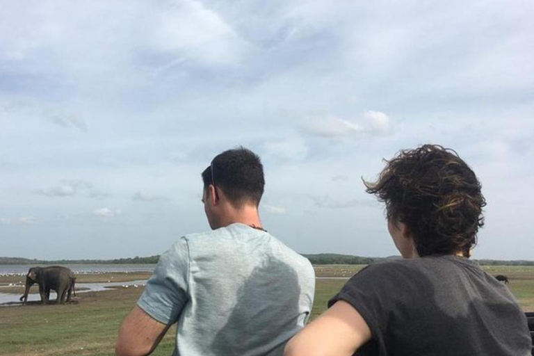 Dambulla: Sigiriya, Cave temple, Safari & Lunch Private Tour Sigiriya :Private Tour with Dambulla, Village Lunch & Safari