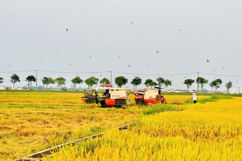 Hoi An: Countryside Bicycle Tour with Farm, Basket Boat Ride