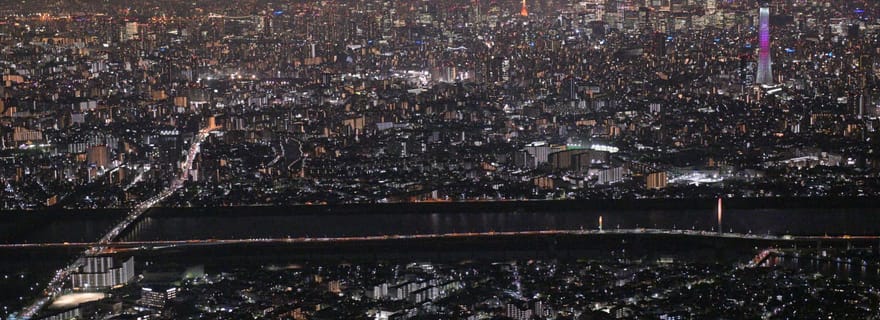 Tokyo : tour en hélicoptère au-dessus de la Skytree et de la tour de Tokyo