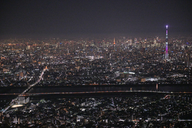 Tokyo: Skytree and Tokyo Tower Helicopter Tour
