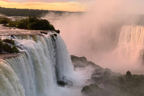 Foz do Iguaçu: Falls, Bird Park, and Macuco Safari Tour