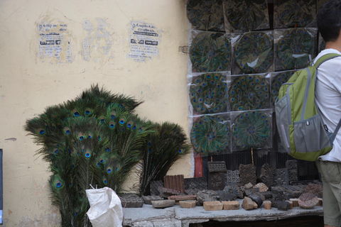 Jaipur: Amber Fort, Stadtpalast und Hawa Mahal Tagestour